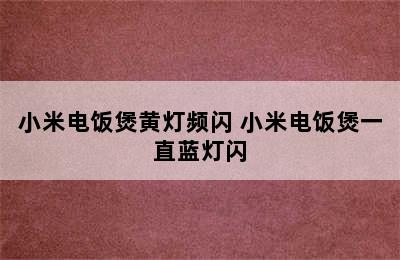 小米电饭煲黄灯频闪 小米电饭煲一直蓝灯闪